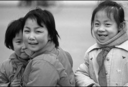 八十年代娱乐圈吃瓜路人,揭秘吃瓜路人的幕后故事