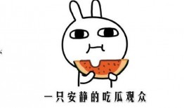 娱乐圈吃瓜的正确方式,如何正确开启你的“瓜田”之旅